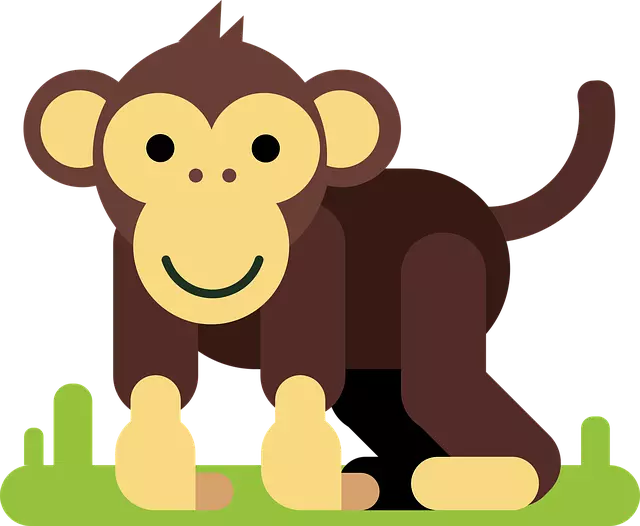 monkey