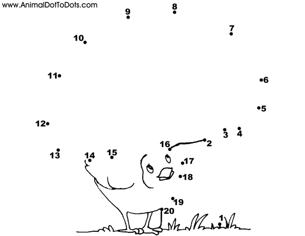 Easy Free Printable Animal Dot To Dot Worksheets