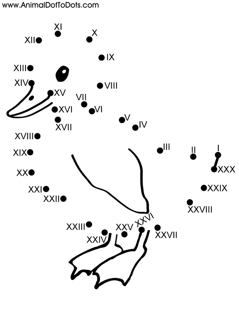 Free Printable Animal Dot-to-dot Duck