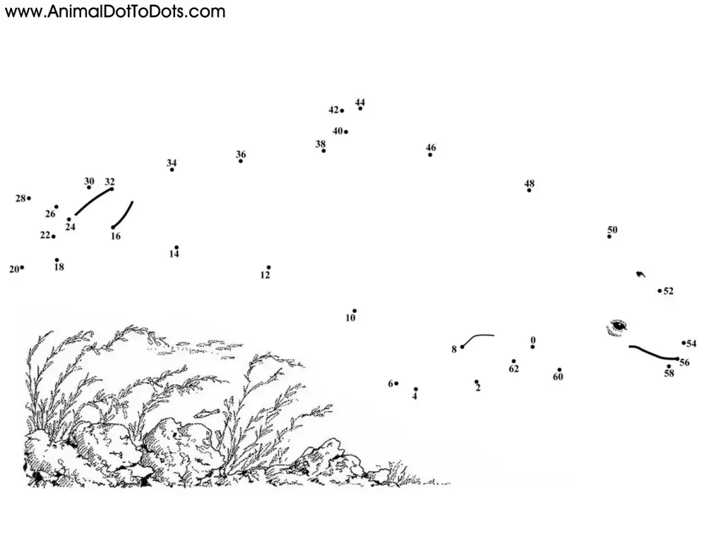 Free Printable Animal Dot-to-Dot Porpoise