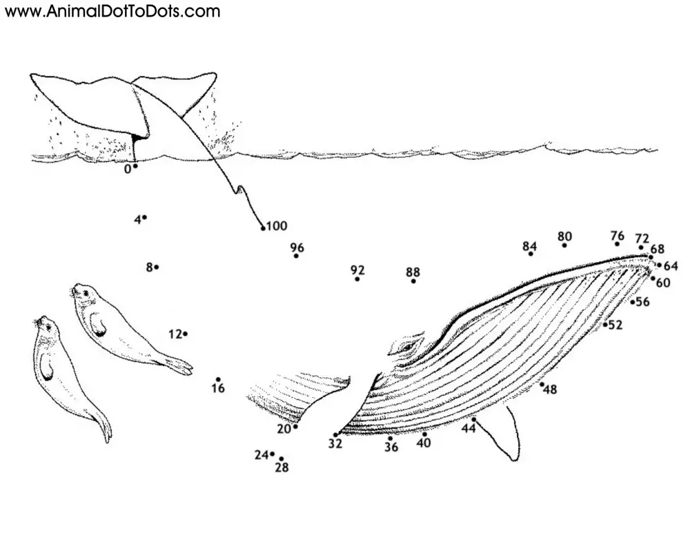 Free Printable Animal Dot-to-dot Whale